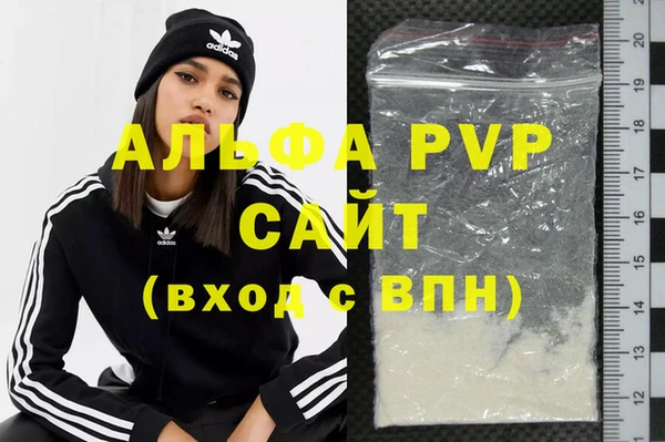 гидра Белокуриха