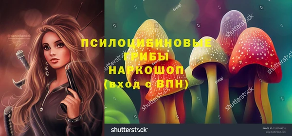 2c-b Богородск