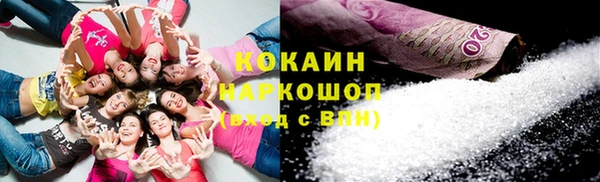 гидра Белокуриха