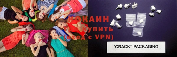 стафф Богданович