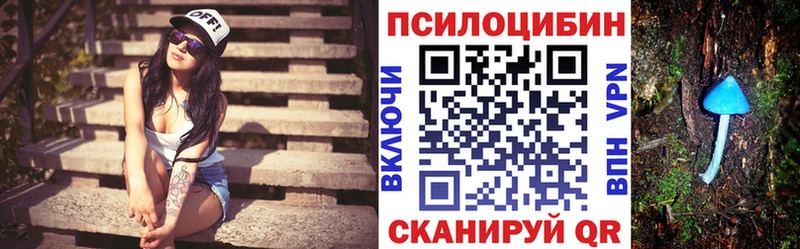 что такое Воткинск Псилоцибиновые грибы Psilocybine cubensis